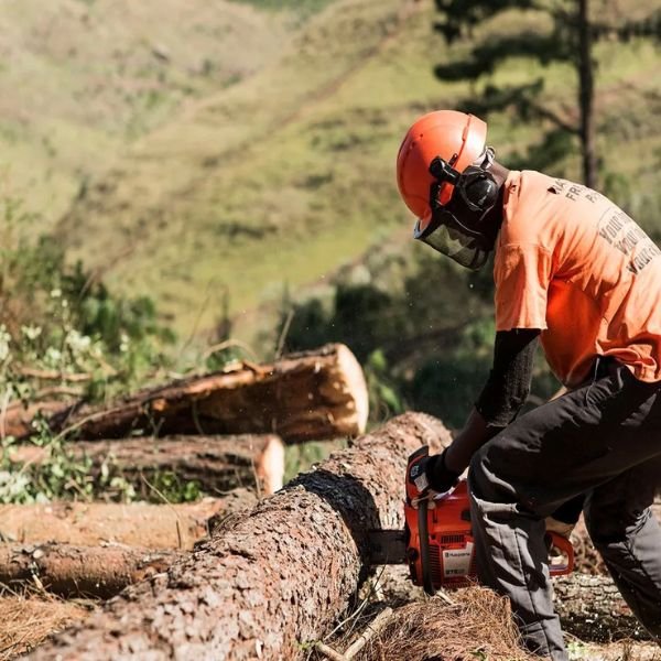 Motosserra Husqvarna 272 XP 72,2cc 3,6KW Gasolina